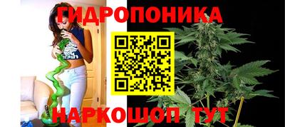 стаф Рязань