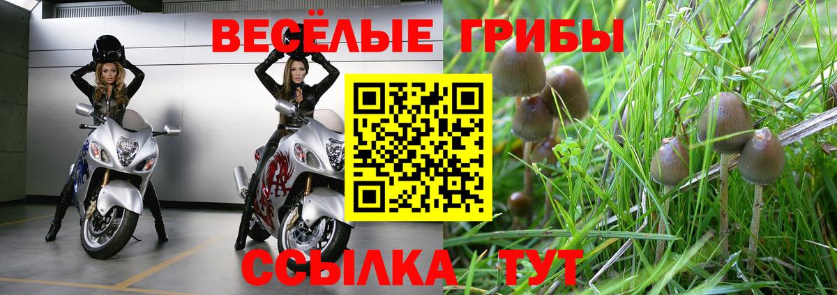 наркота  Псилоцибиновые грибы ЛСД  Псилоцибиновые грибы прущие грибы  Вход с VPN  Волгоград 